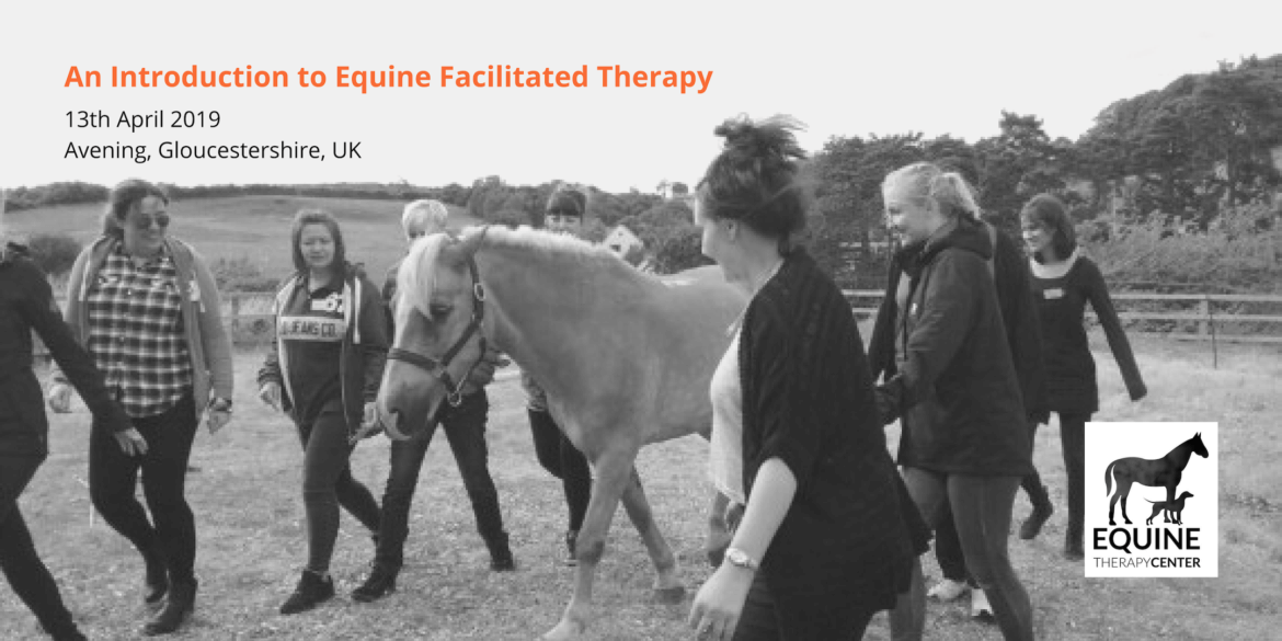An Introduction to Equine Facilitated Therapy Equine & Creative Play