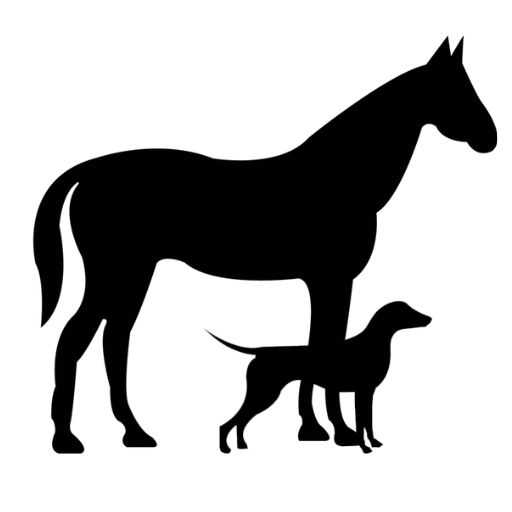 Equine Therapy Center