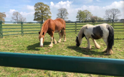 Foundation Course Part 2