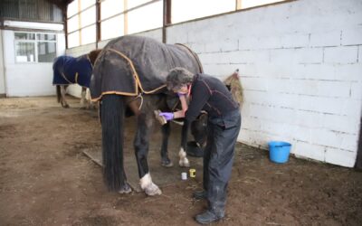 Foundation Course Part 3